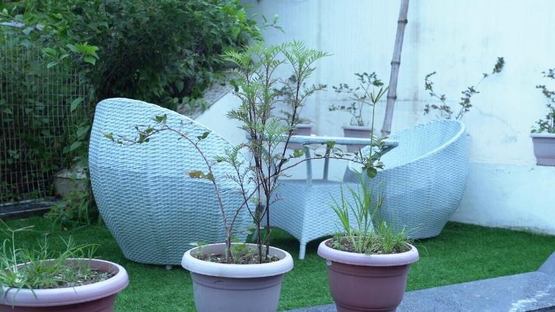 Studioz Paradise Hills Mussoorie image