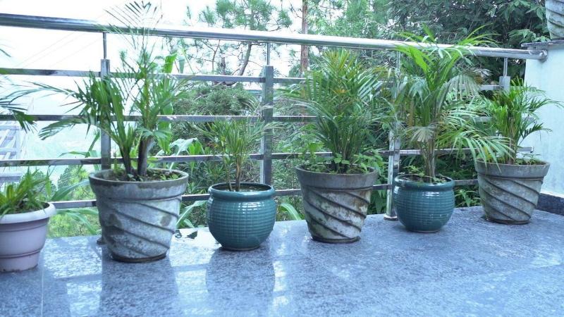 Studioz Paradise Hills Mussoorie image