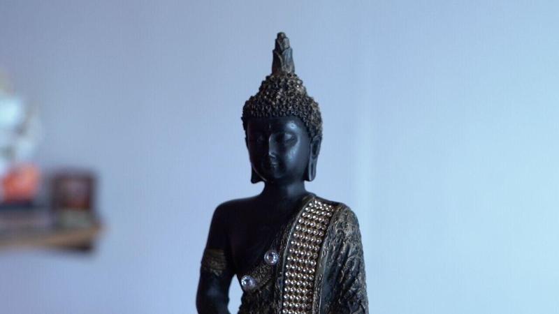Studioz Paradise Hills Mussoorie image