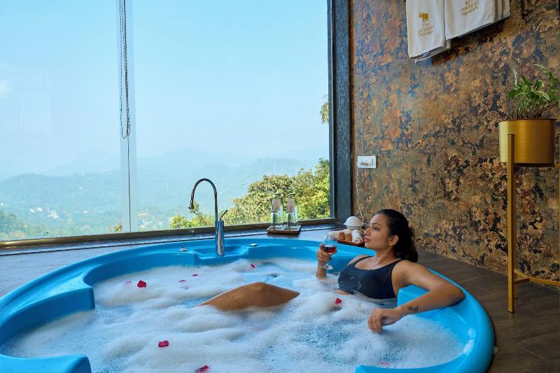 Elephant Passage Resort Munnar image