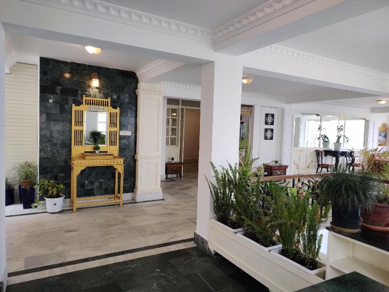 Treenz Lite image