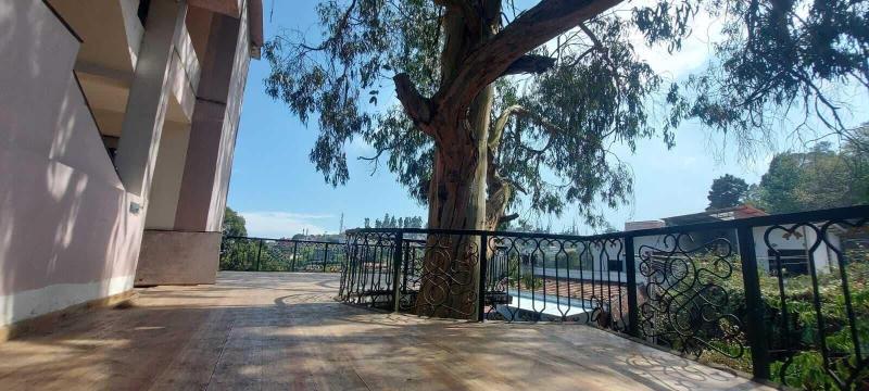 Lazo Eucy Paradise Resort