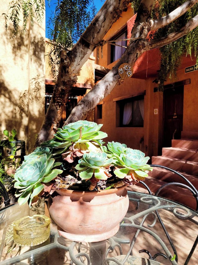 La Paleta Del Pintor Hosteria image
