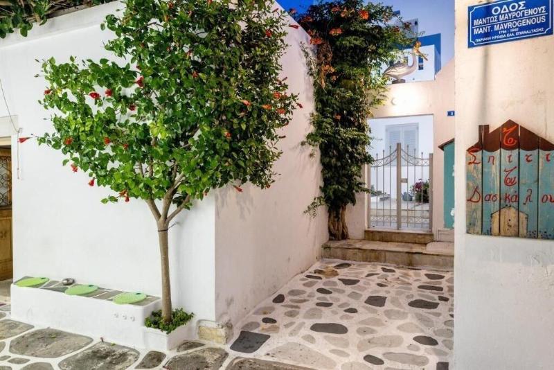 Pelican Paros image