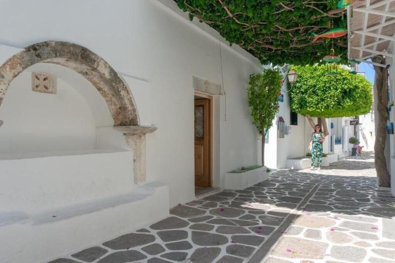 Pelican Paros image