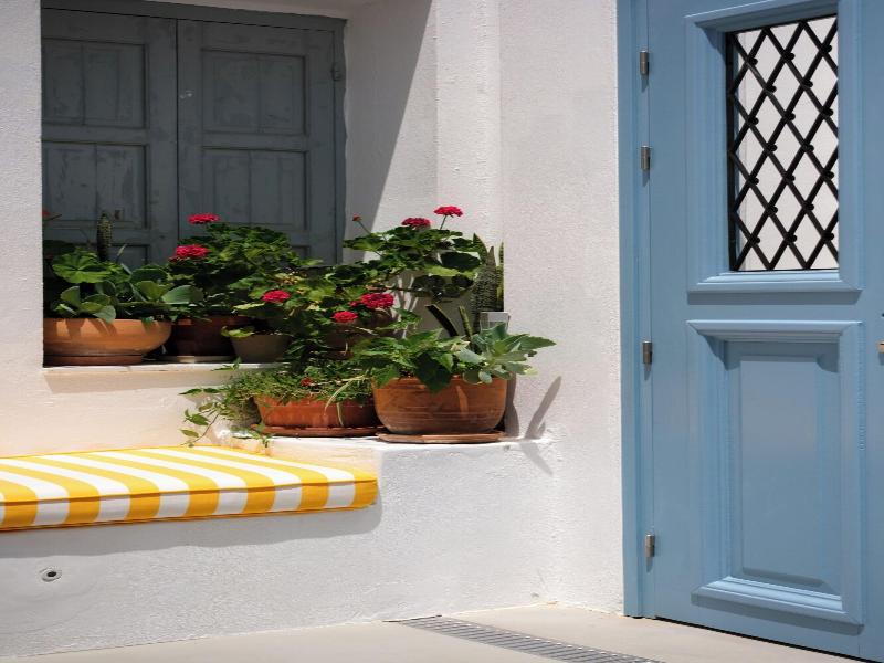 Pelican Paros image