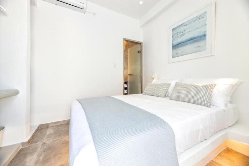 Pelican Paros image