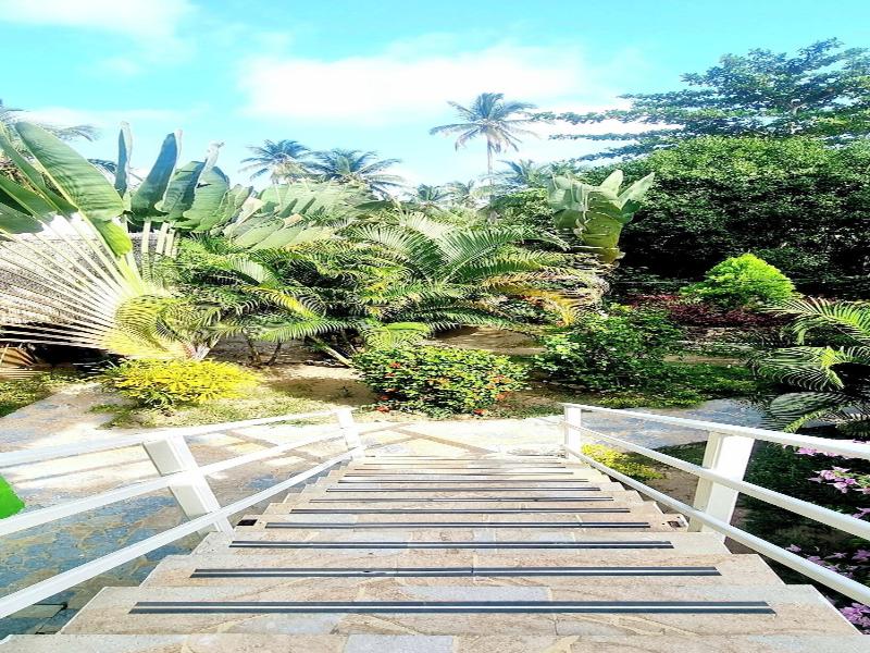 Blue Mango Hotel image