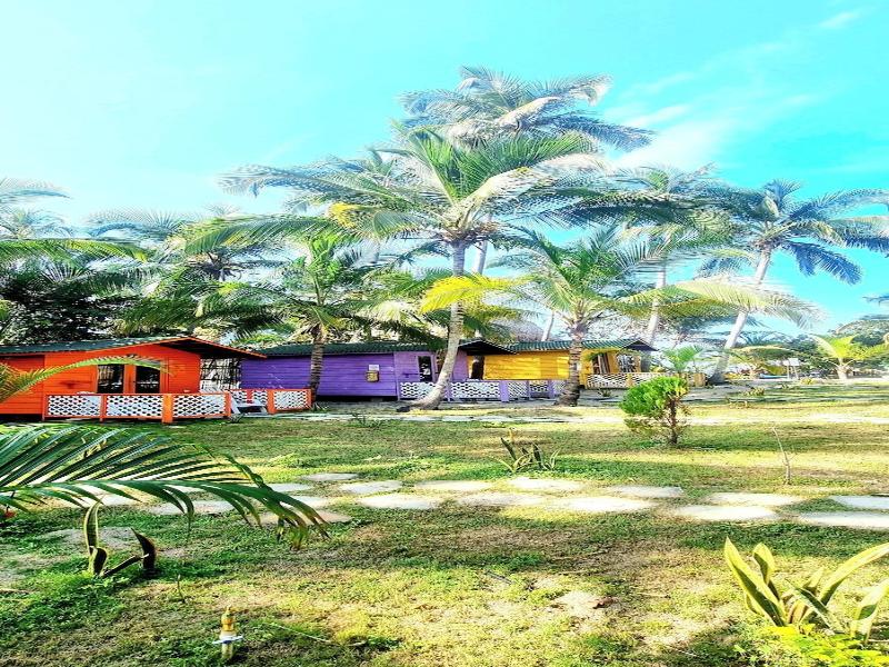 Blue Mango Hotel image