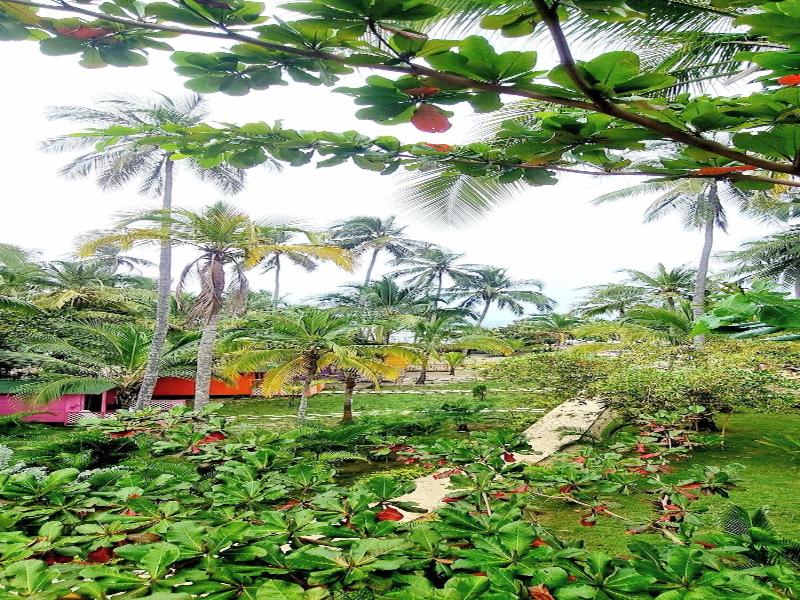 Blue Mango Hotel image