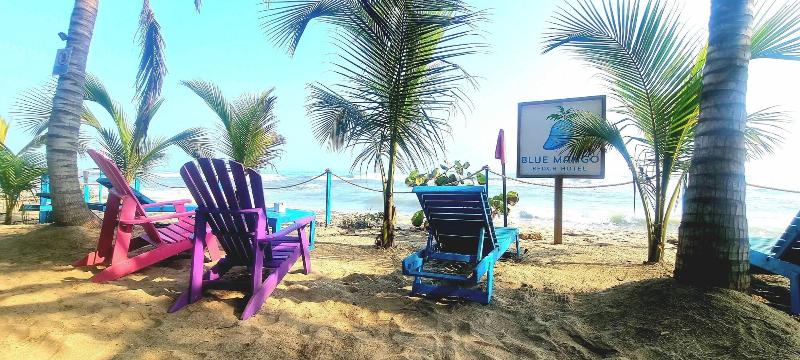 Blue Mango Hotel image