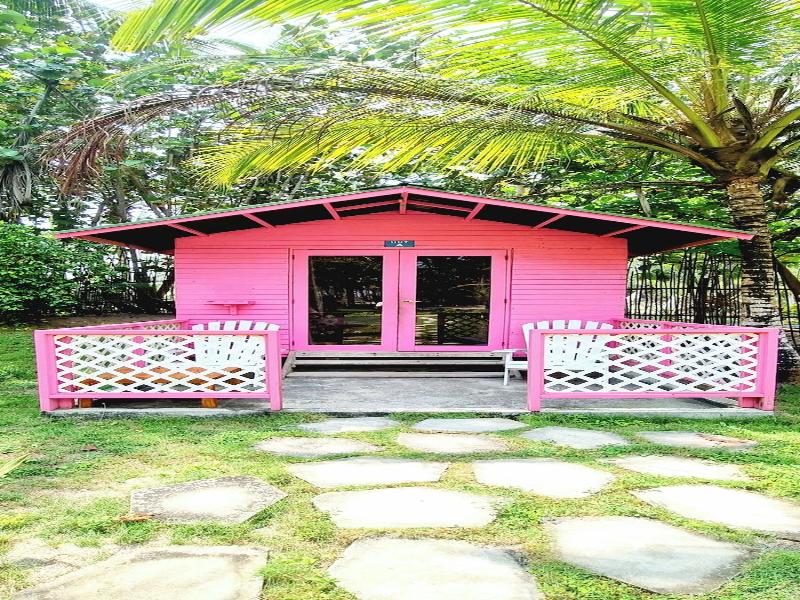 Blue Mango Hotel image