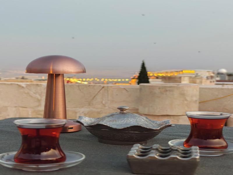 Aryan Otel
