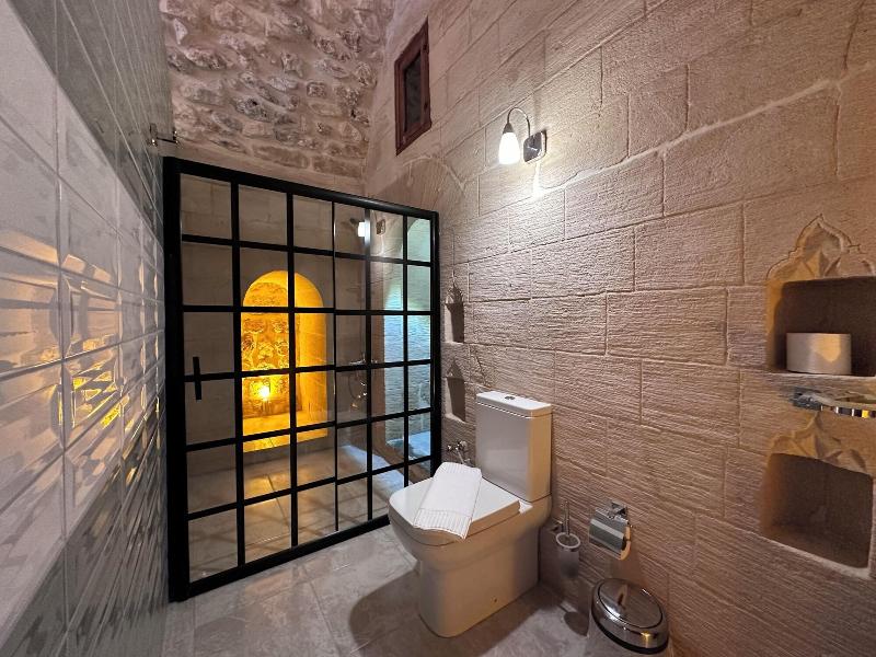 Aryan Otel image