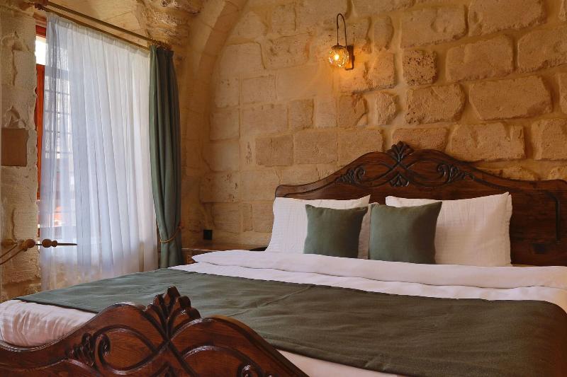 Aryan Otel image