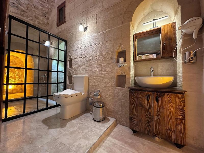Aryan Otel image