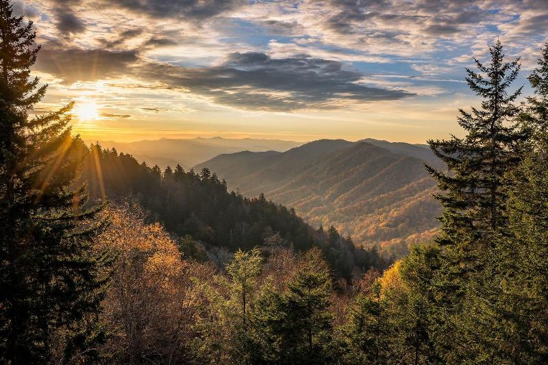 Smokey Bear Haven image
