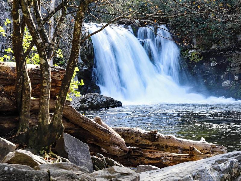 Smokey Bear Haven image
