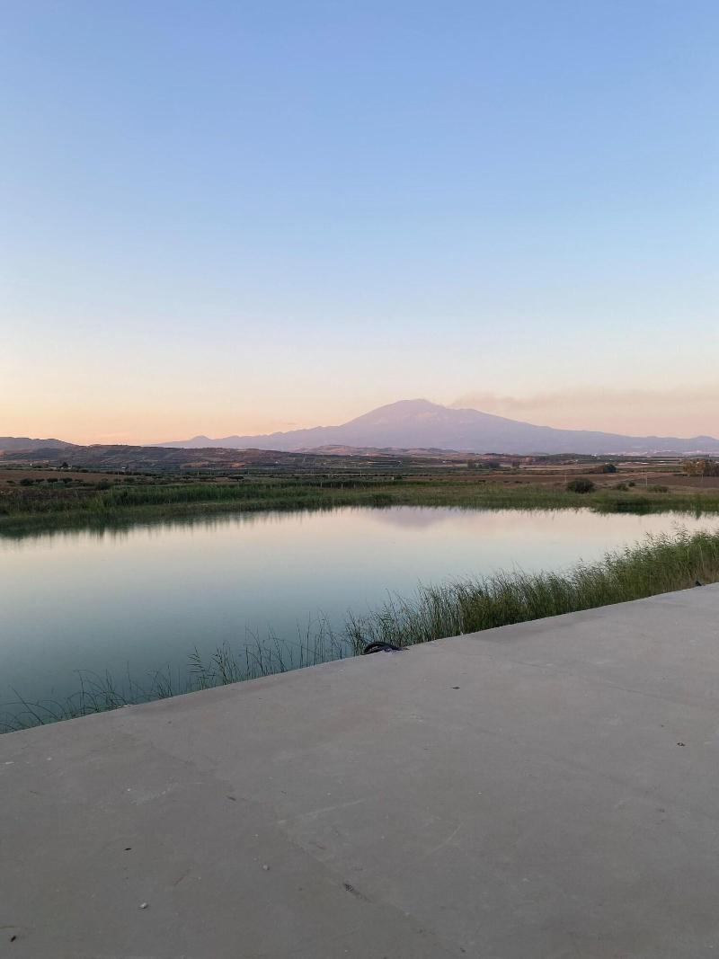 Bahal Dell Etna image