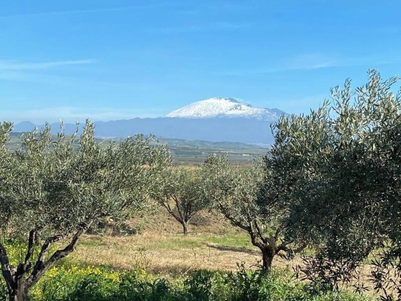 Bahal Dell Etna image