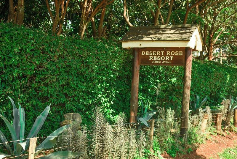 Desert Rose Resort image