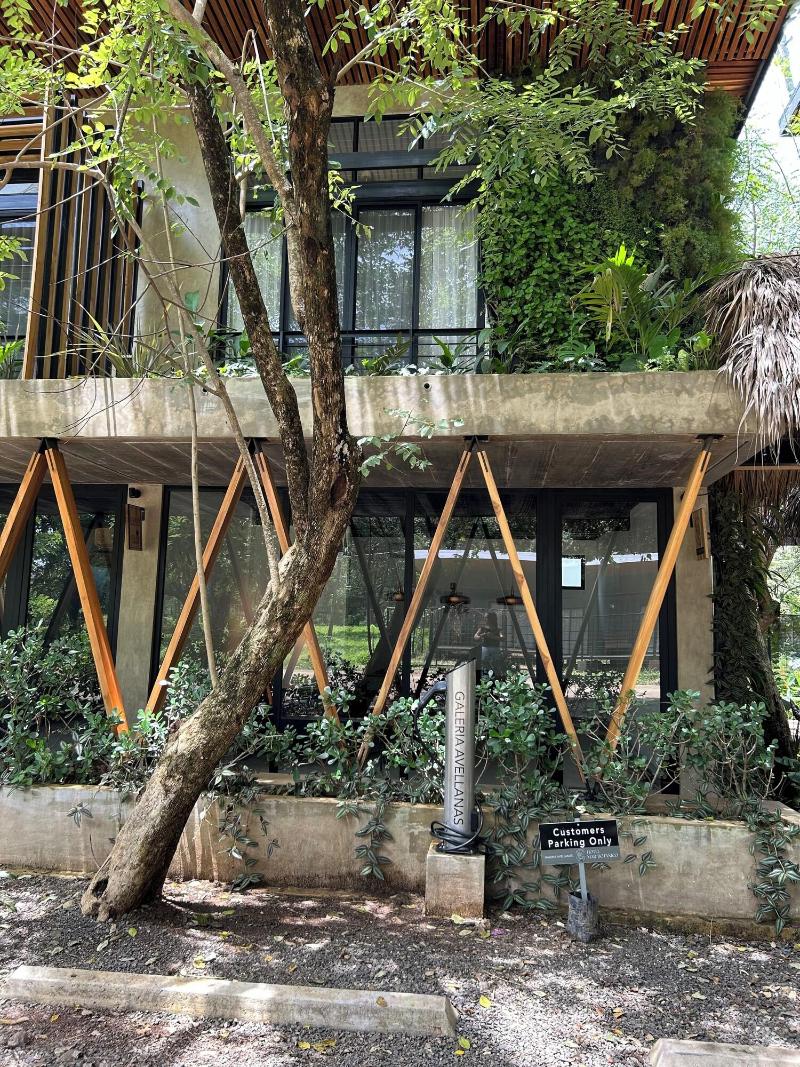 Mar Bota Nico Avellanas Beach Hotel image
