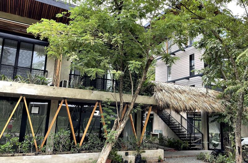 Mar Bota Nico Avellanas Beach Hotel image