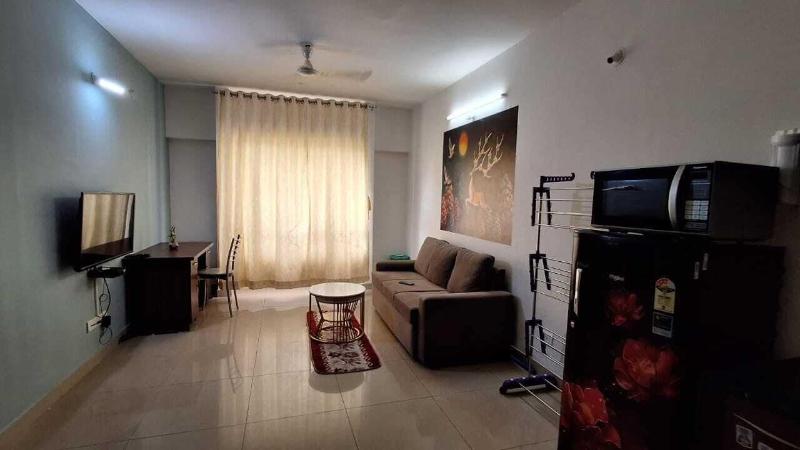 1 Bhk Entre Apart Blue Ridge image