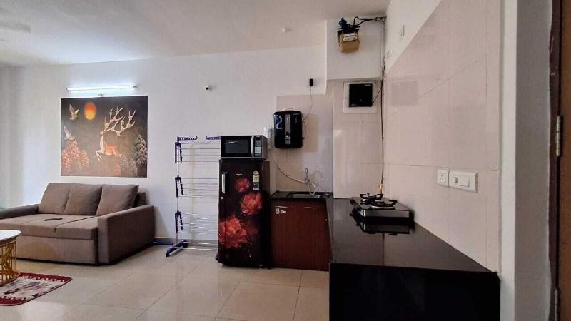 1 Bhk Entre Apart Blue Ridge image