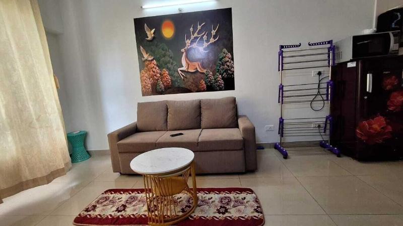 1 Bhk Entre Apart Blue Ridge image