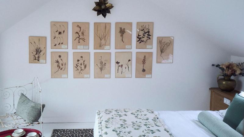 Maison Mouche image