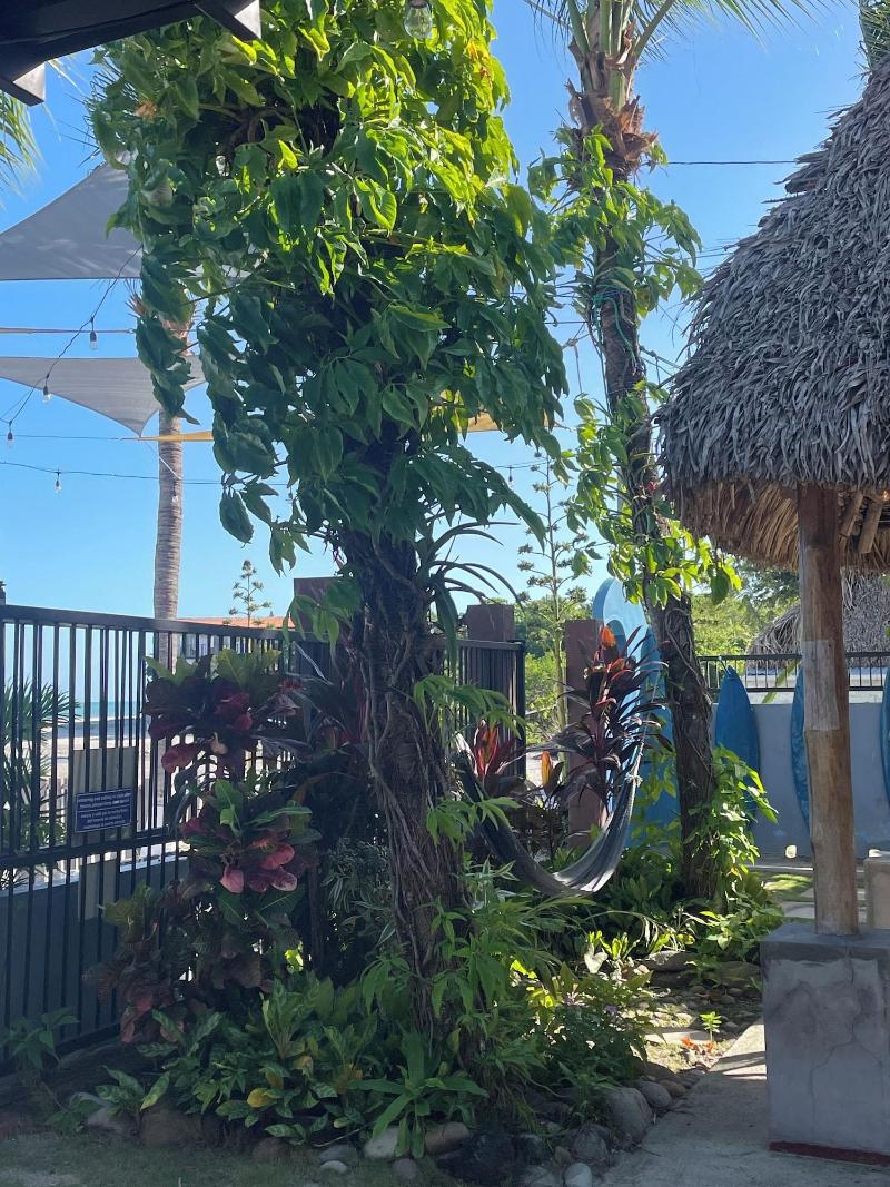 San Carlos Surf Resort Eco Lodge image
