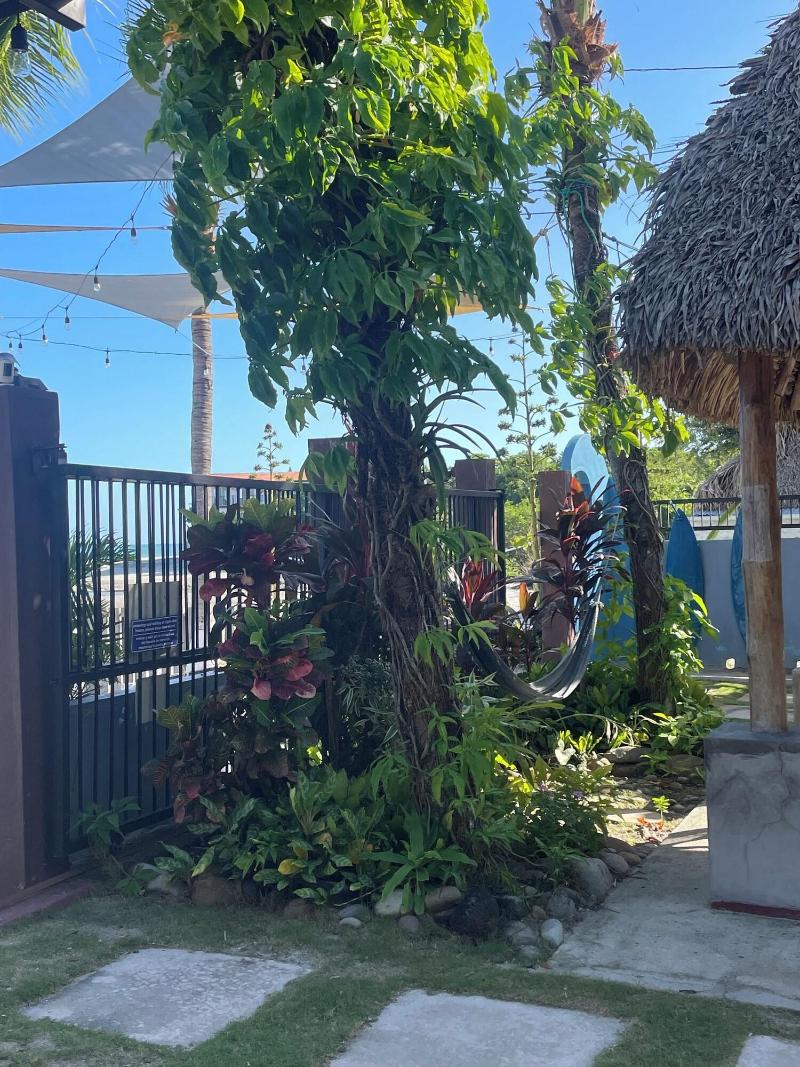 San Carlos Surf Resort Eco Lodge image