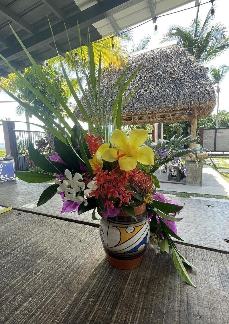 San Carlos Surf Resort Eco Lodge image