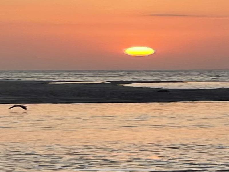 San Carlos Surf Resort Eco Lodge image