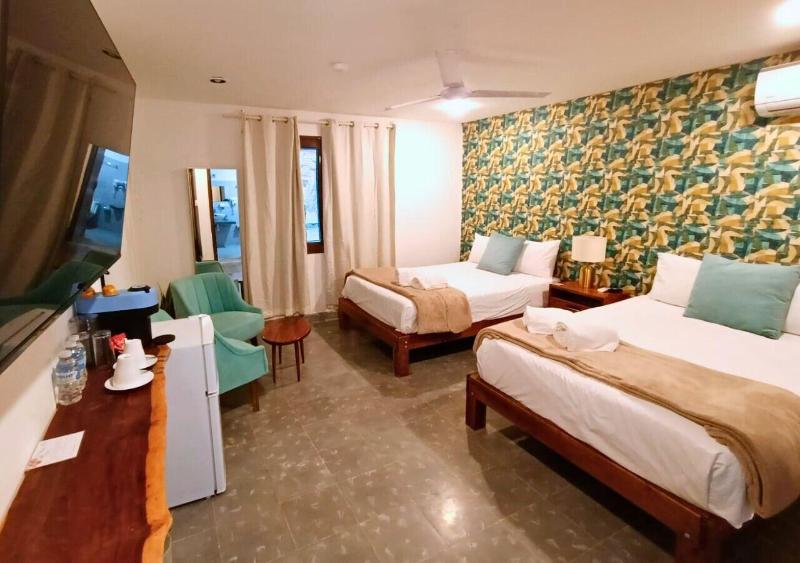 Casa Ekinox image