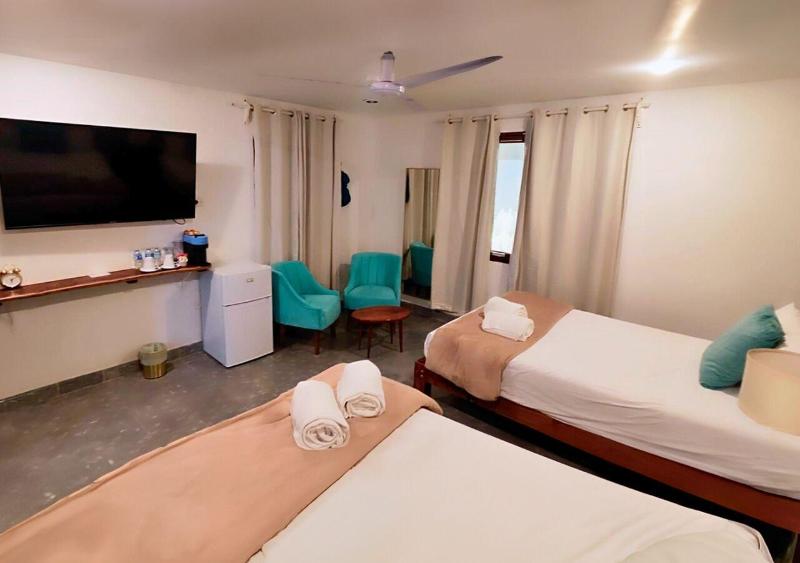 Casa Ekinox image