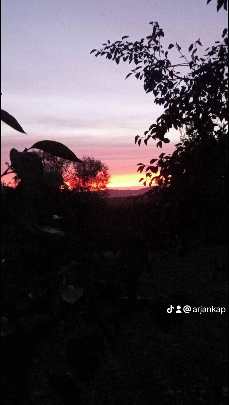 A Vila image