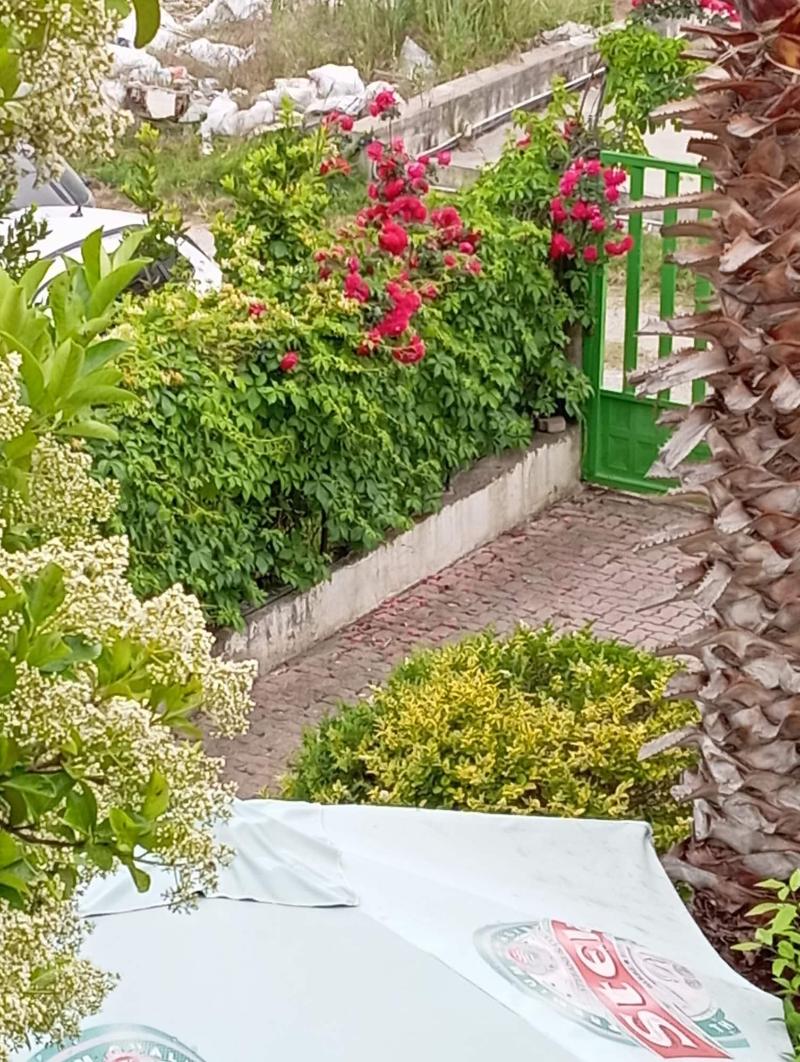 A Vila image