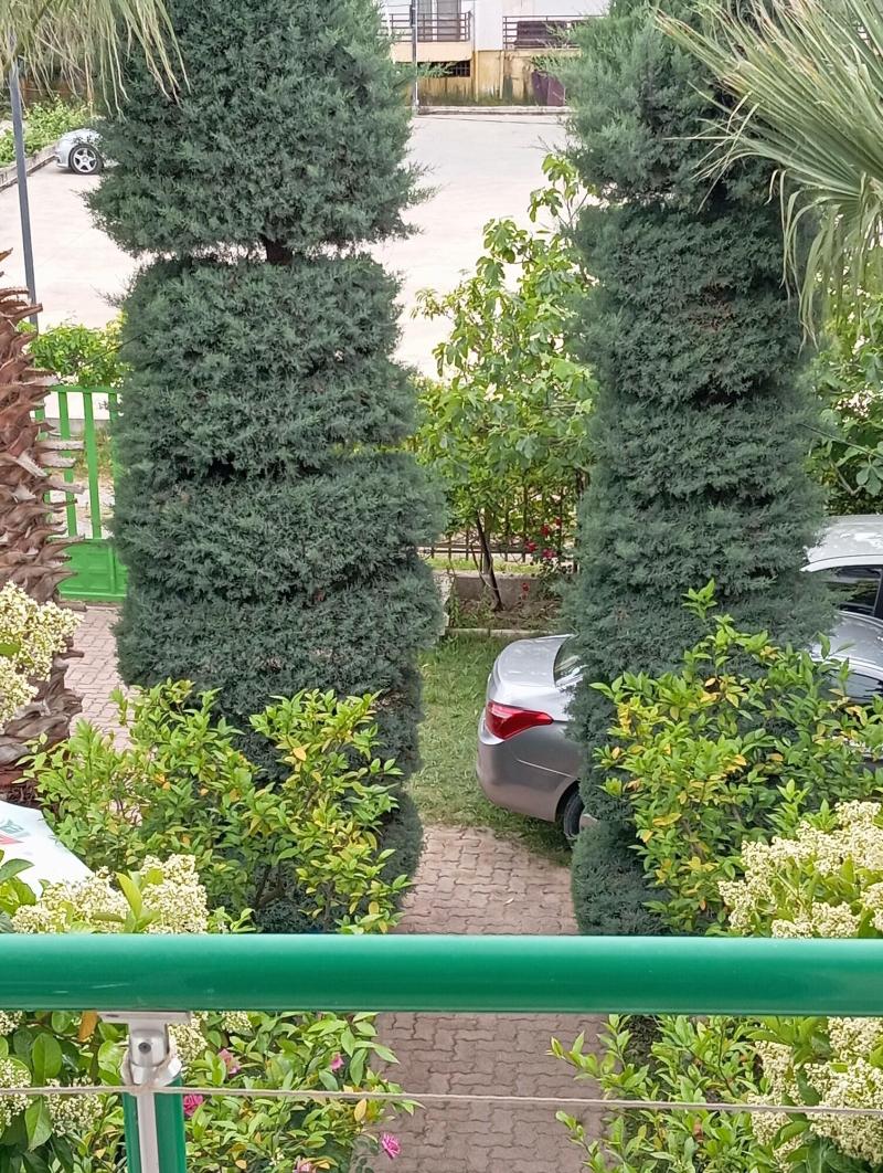 A Vila image