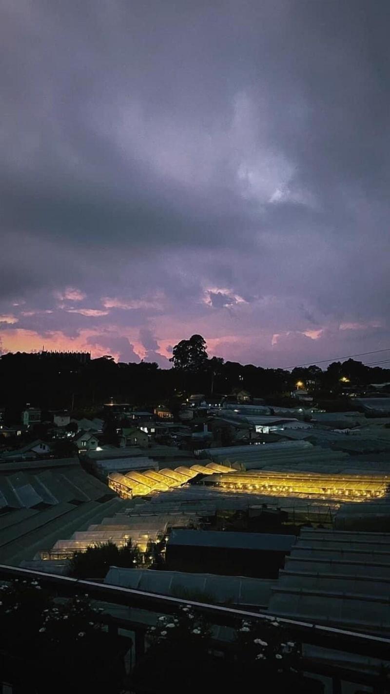 The Elegant Da Lat