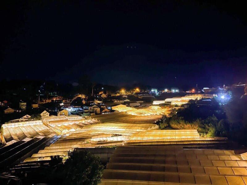 The Elegant Da Lat