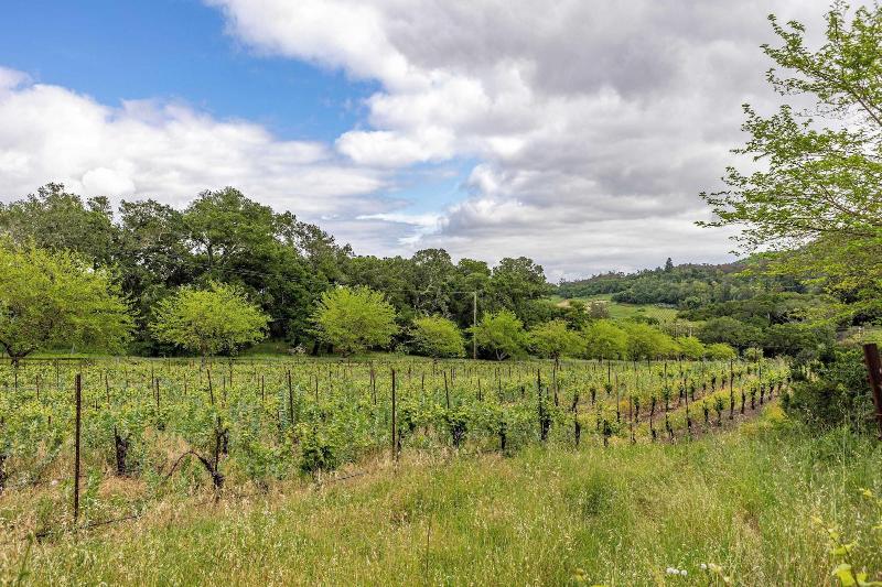 Sonoma Sunshine By Avantstay Countryside Views image