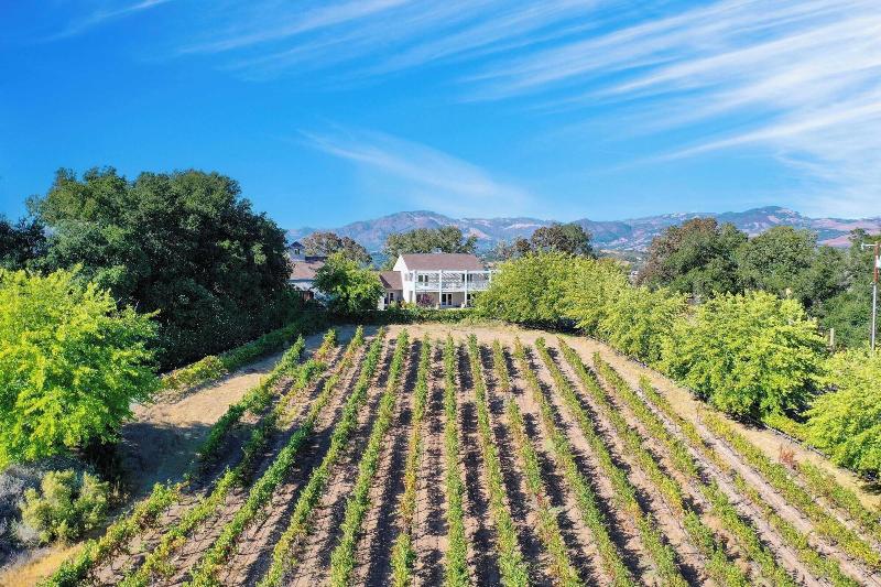 Sonoma Sunshine By Avantstay Countryside Views image