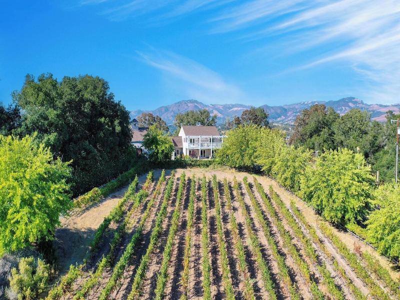Sonoma Sunshine By Avantstay Countryside Views image