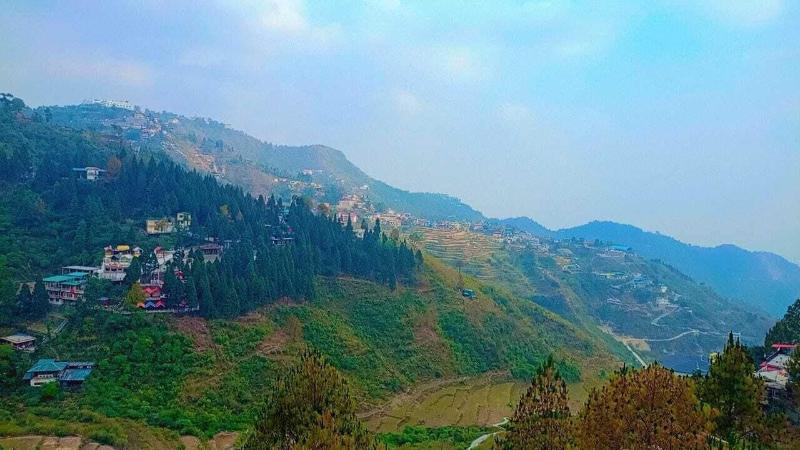 Hotel The Pine Villa Mussoorie image