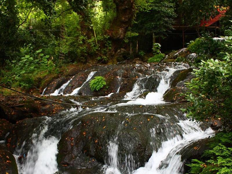 Waterfall Heaven House 5