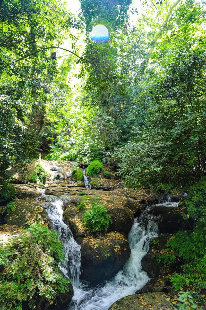 Waterfall Heaven House — photo 41