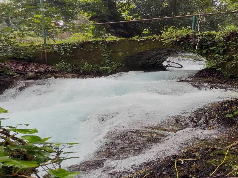 Waterfall Heaven House — photo 25