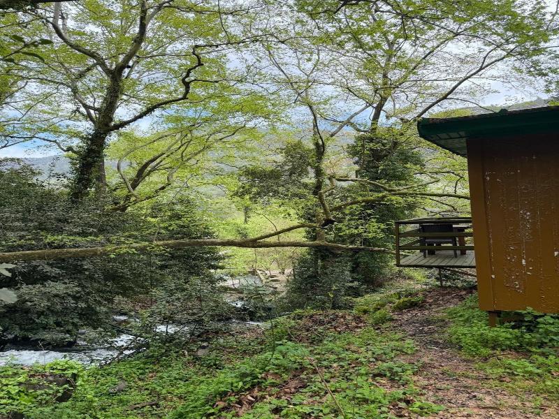 Waterfall Heaven House — photo 13